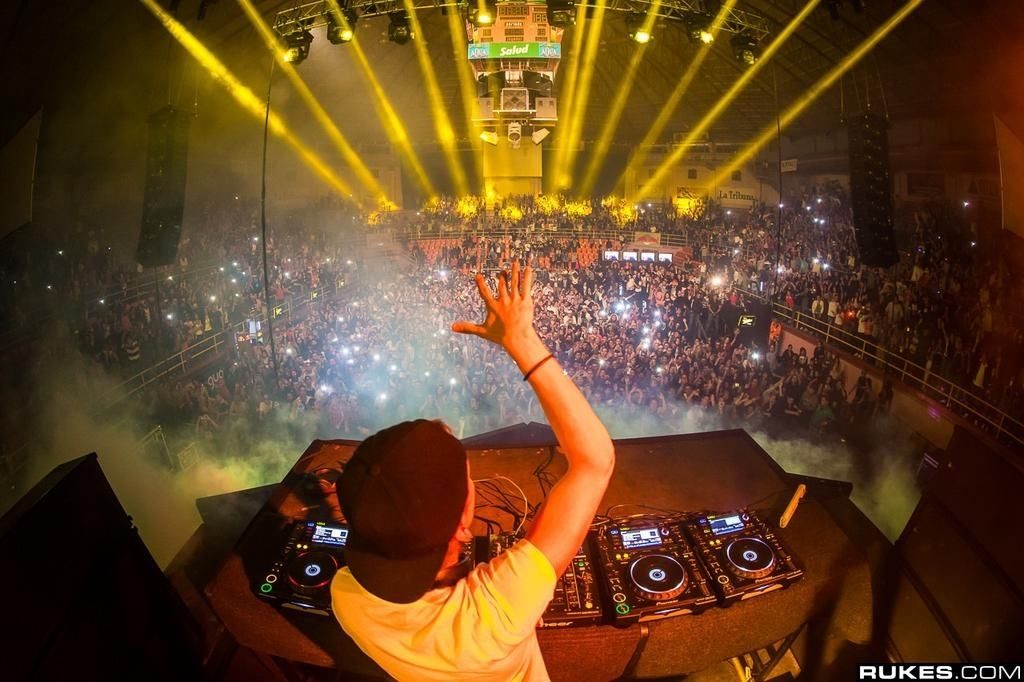 Gallery of Tim Bergling