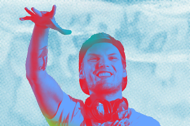 Gallery of Tim Bergling