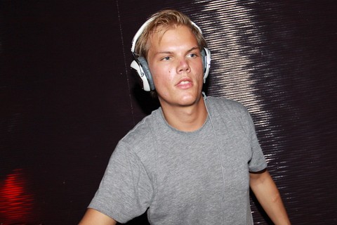 Gallery of Tim Bergling