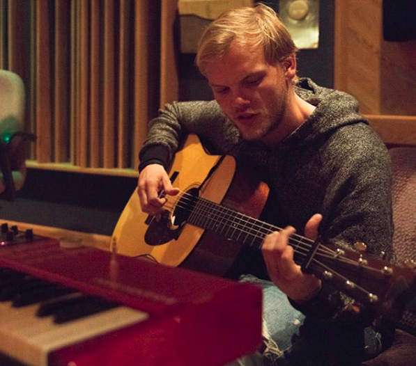 Gallery of Tim Bergling