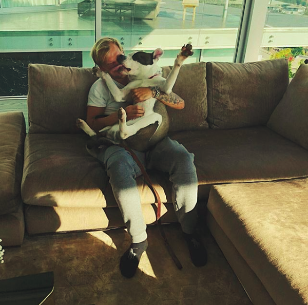 Gallery of Tim Bergling