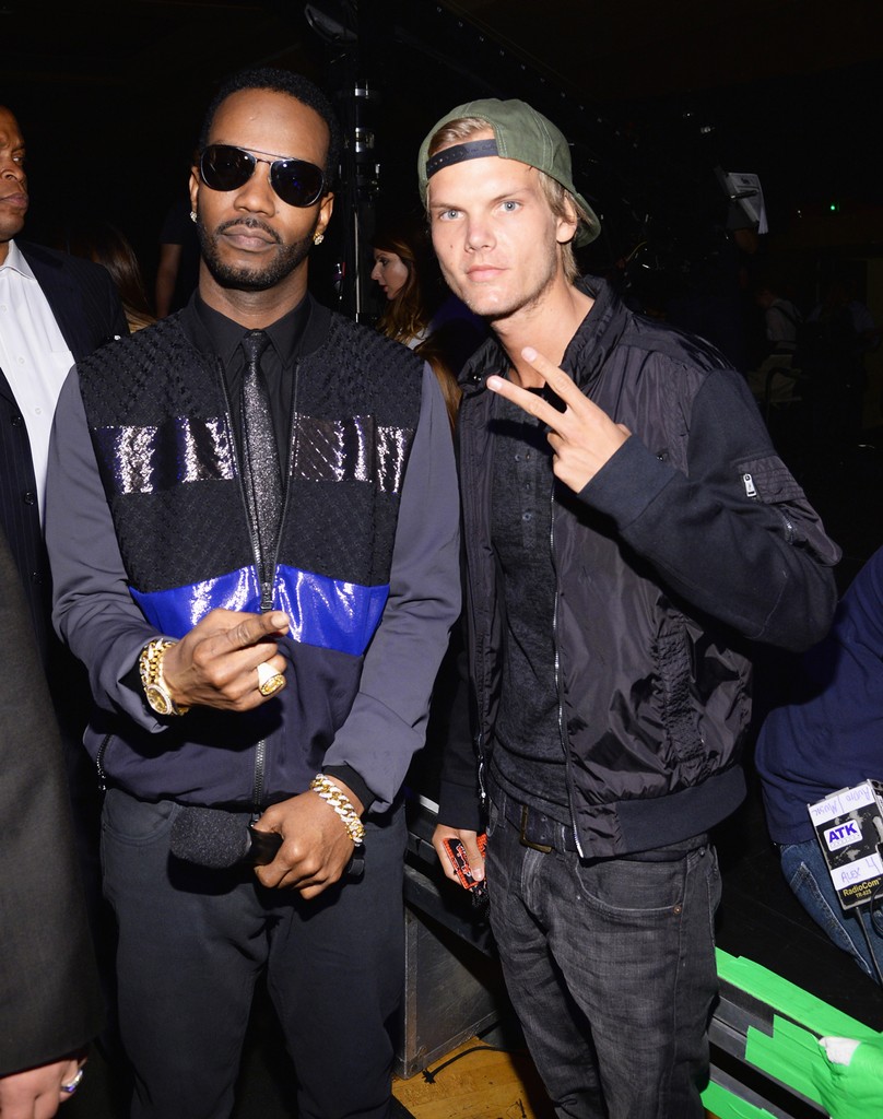 Gallery of Tim Bergling