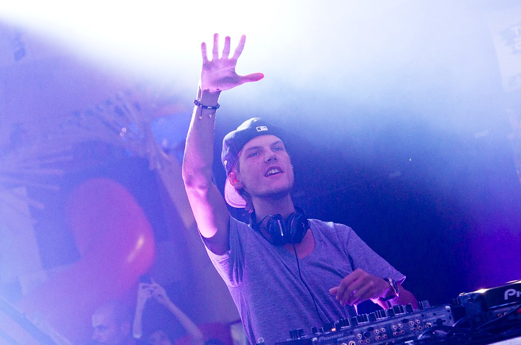 Gallery of Tim Bergling