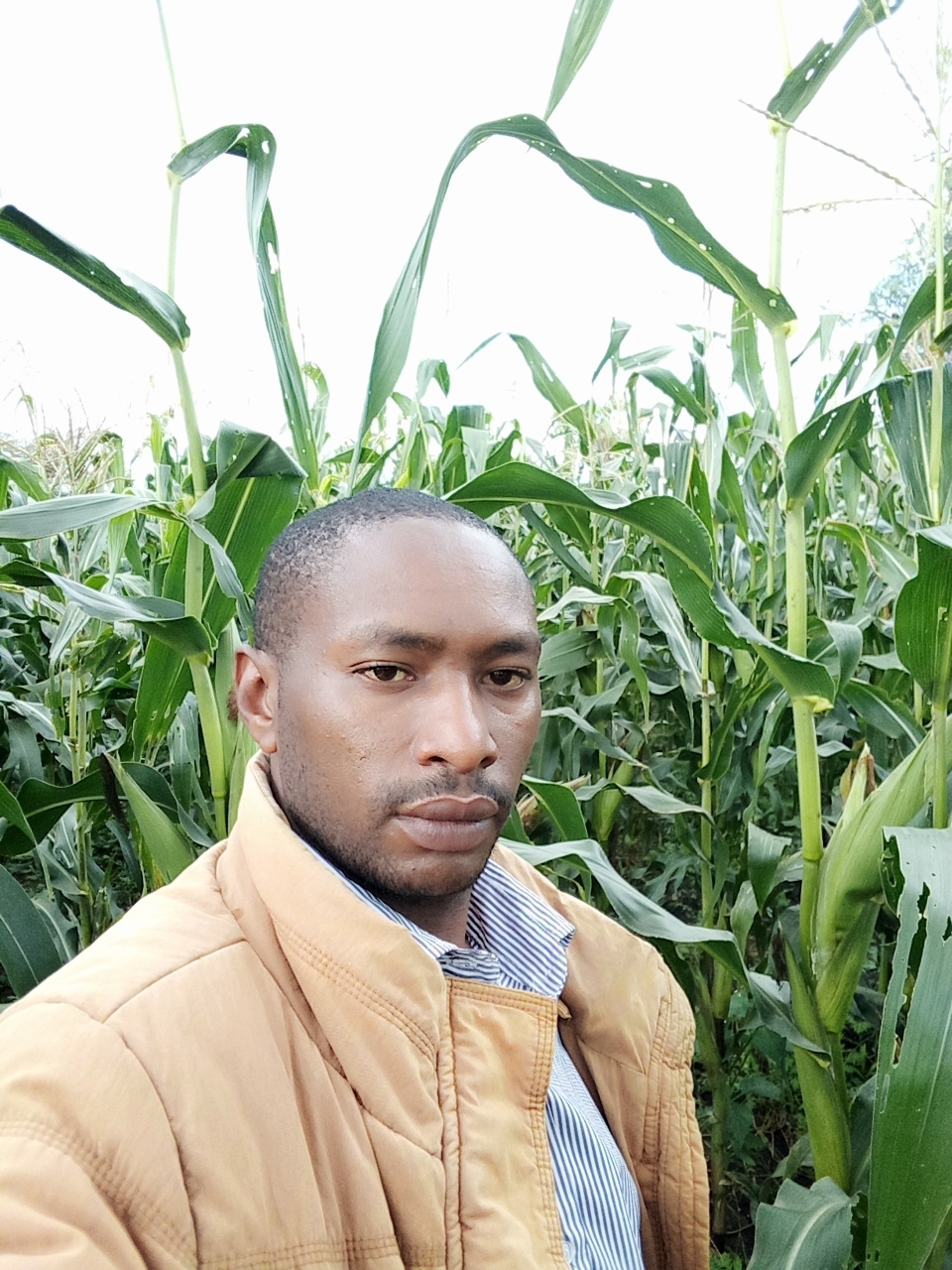 Peter Nyamwaro