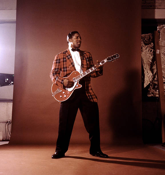 Gallery of Bo Diddley