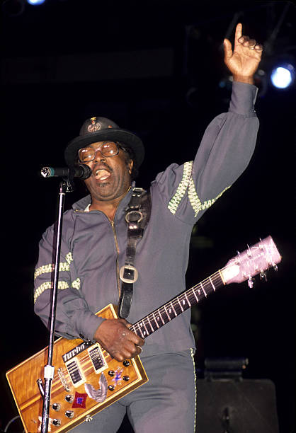 Gallery of Bo Diddley