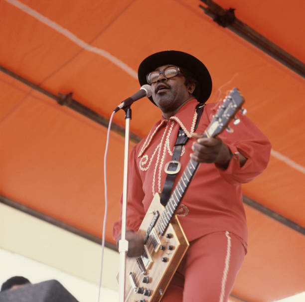 Gallery of Bo Diddley