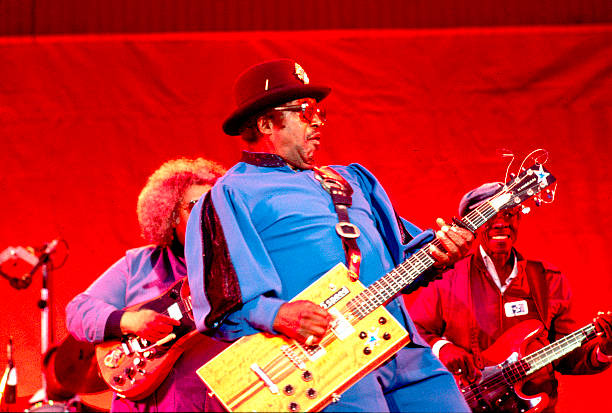 Gallery of Bo Diddley