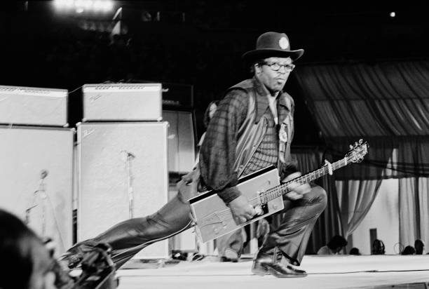 Gallery of Bo Diddley