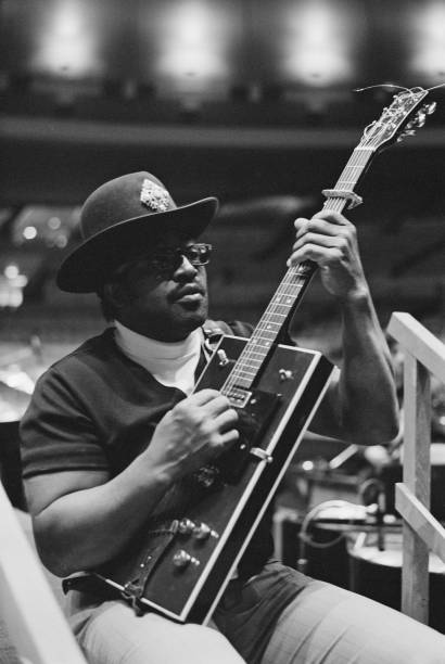 Gallery of Bo Diddley
