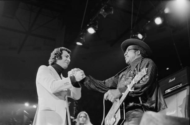 Gallery of Bo Diddley