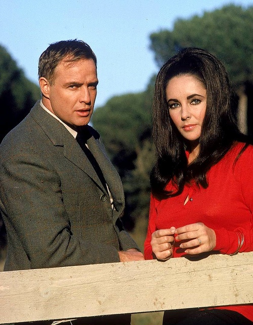 Gallery of Elizabeth Taylor