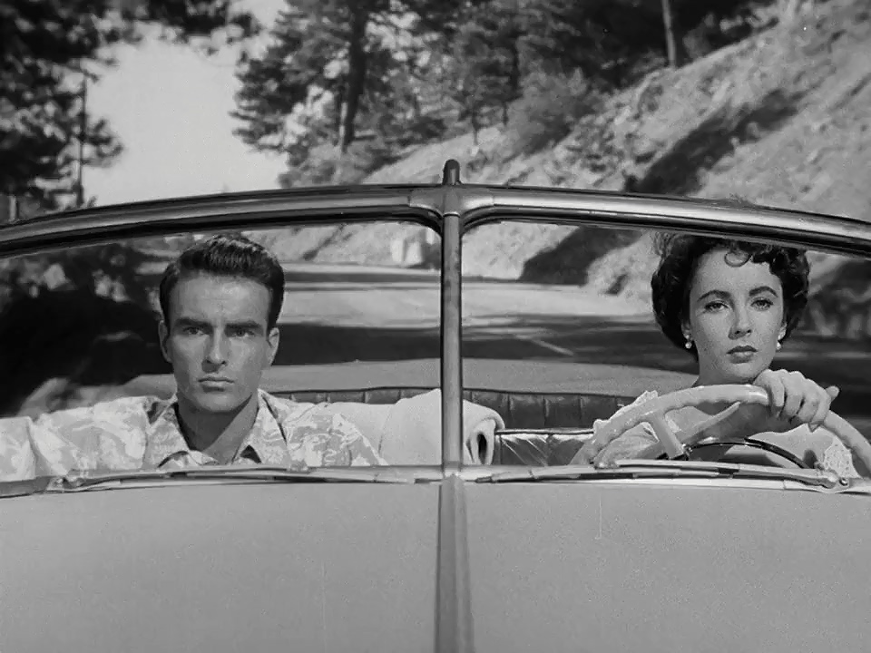 Gallery of Elizabeth Taylor