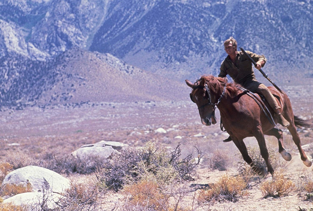 Gallery of Steve McQueen