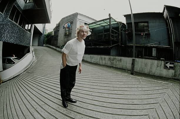 Gallery of John Lydon