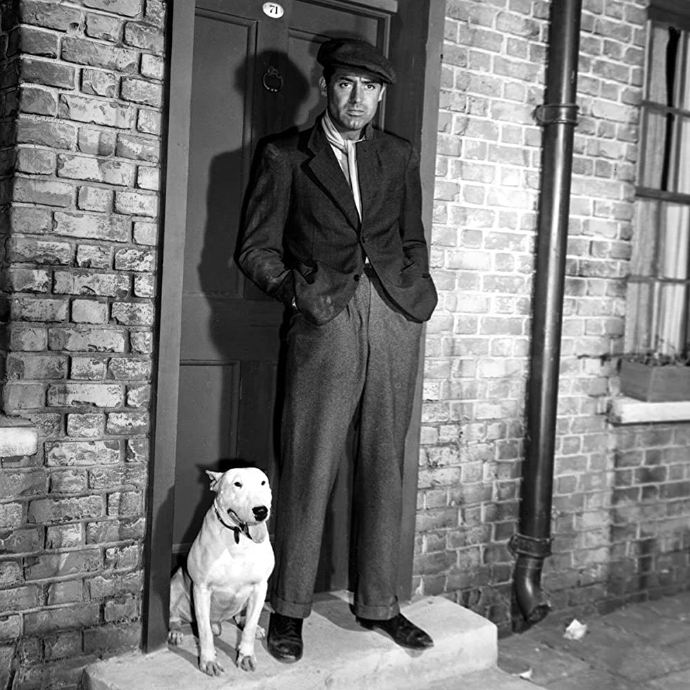 Gallery of Cary Grant