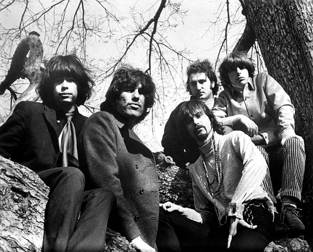 Gallery of Steven Tyler