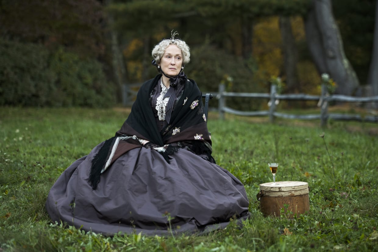 Gallery of Meryl Streep