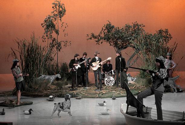 Gallery of David Crosby