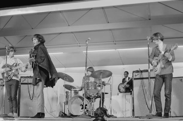 Gallery of David Crosby