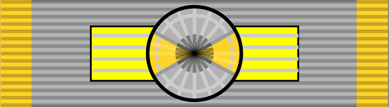 Order of the Virtues, Special Class