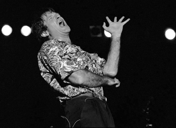 Gallery of Robin Williams