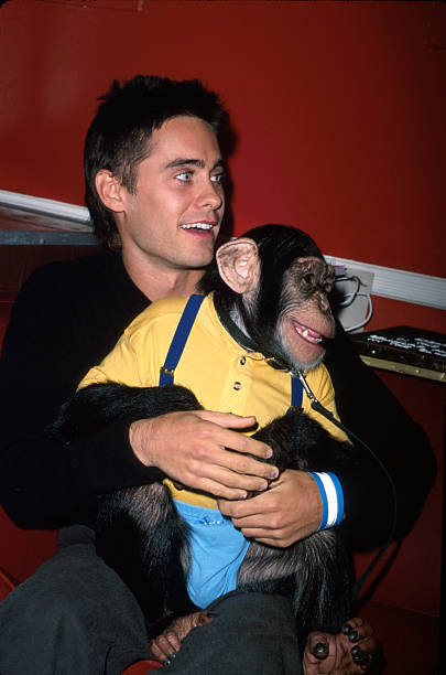 Gallery of Jared Leto