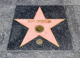 Hollywood Walk of Fame Star
