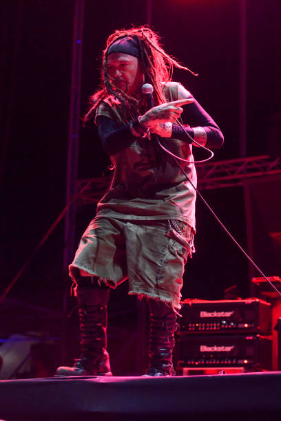 Gallery of Al Jourgensen