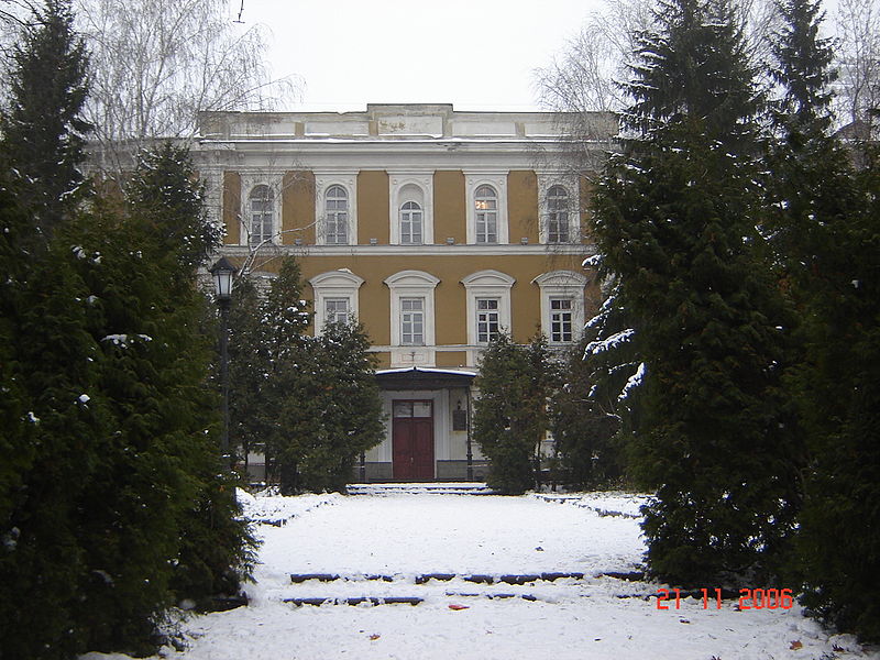 Gallery of Vissarion Grigoryevich Belinsky