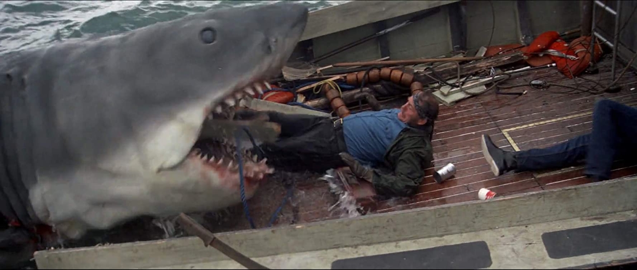 Gallery of Robert Shaw