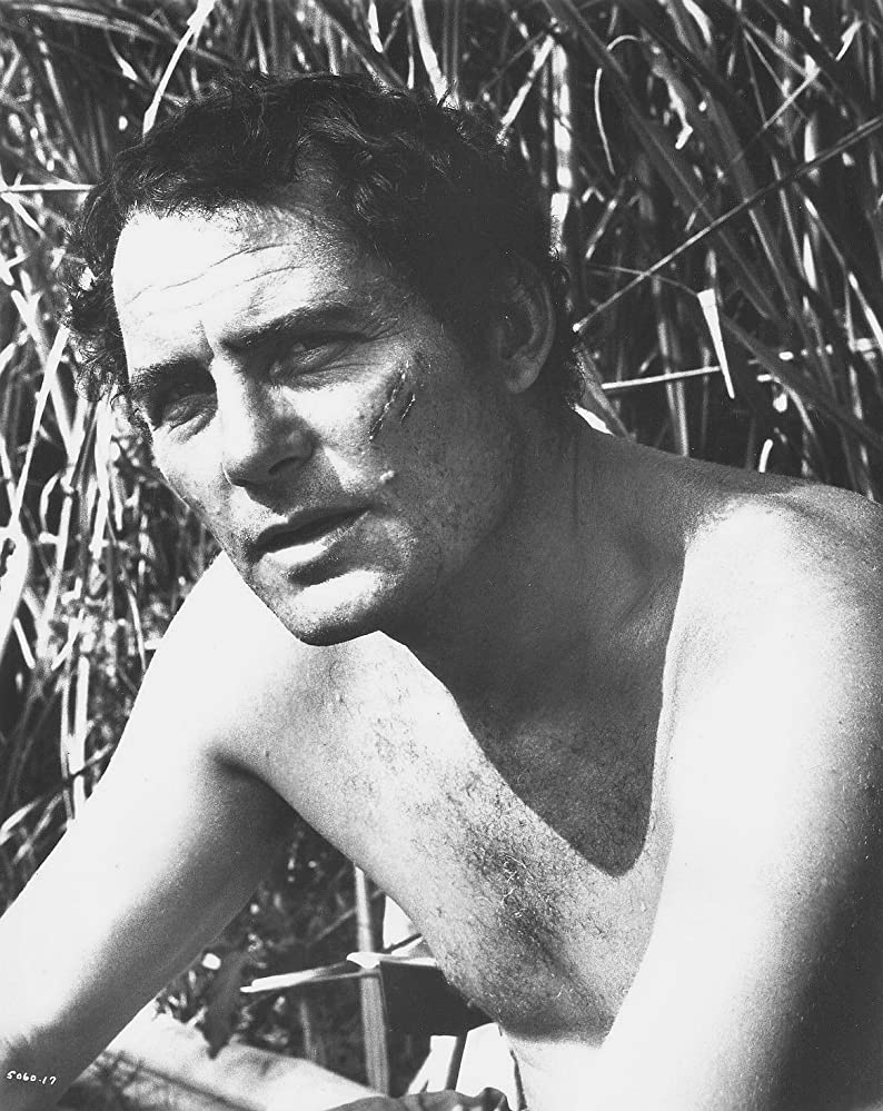 Gallery of Robert Shaw