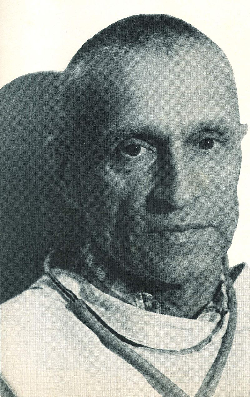 Gallery of Nikolai Amosov