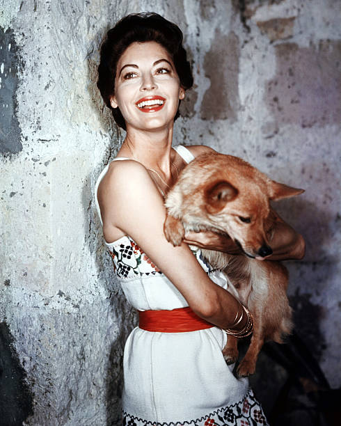 Gallery of Ava Gardner