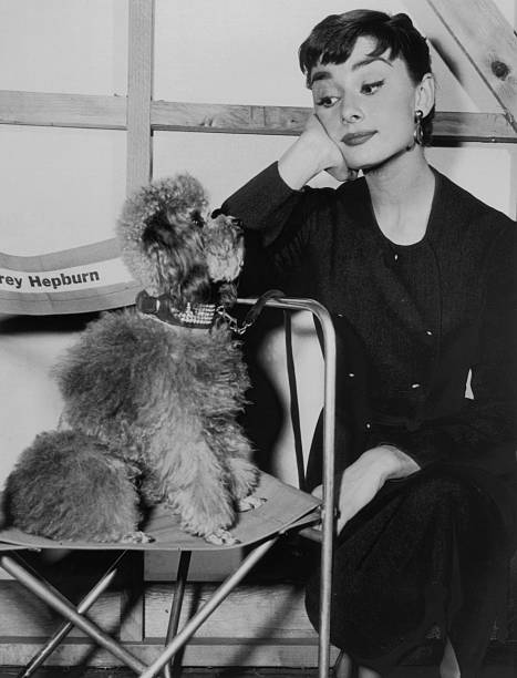 Gallery of Audrey Hepburn