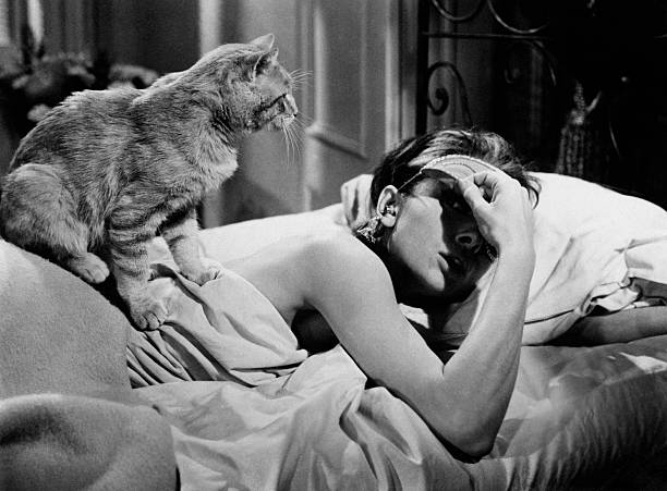 Gallery of Audrey Hepburn