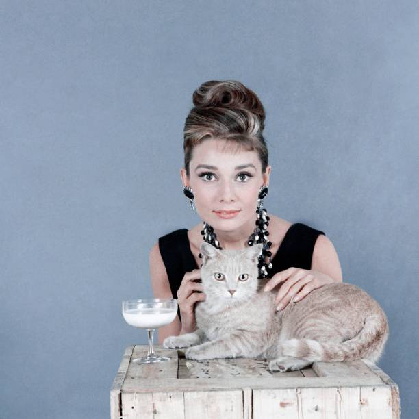 Gallery of Audrey Hepburn
