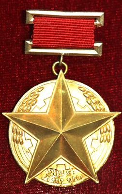 Gold Medal of the Nation