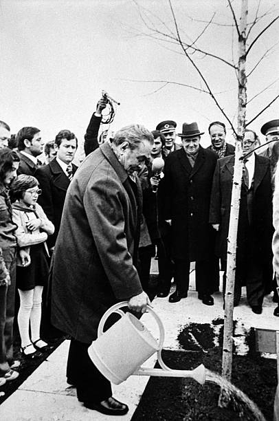Gallery of Leonid Brezhnev