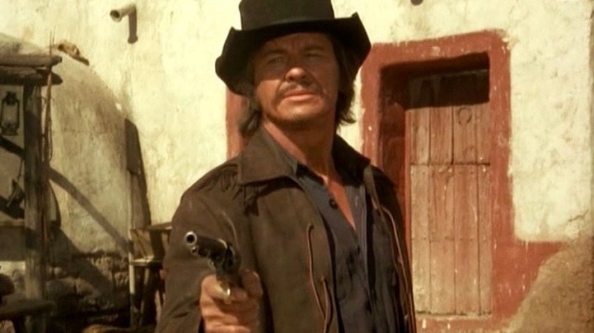 Gallery of Charles Bronson