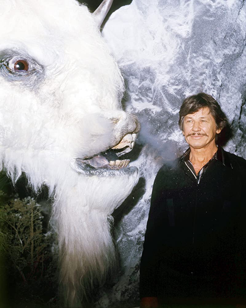 Gallery of Charles Bronson