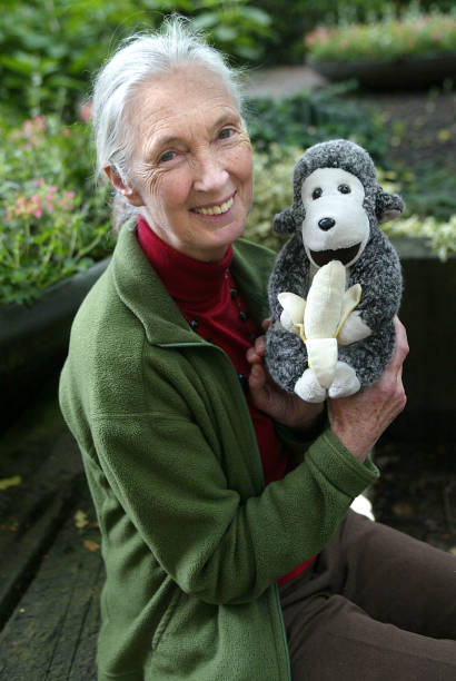 Gallery of Jane Goodall