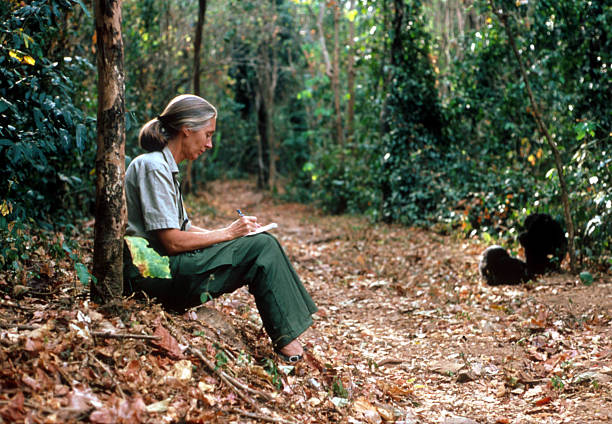 Gallery of Jane Goodall
