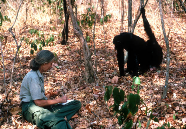 Gallery of Jane Goodall