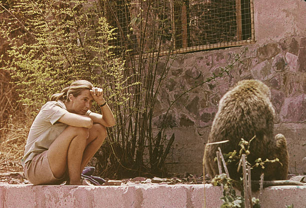 Gallery of Jane Goodall