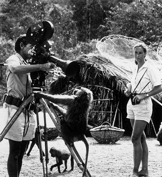 Gallery of Jane Goodall