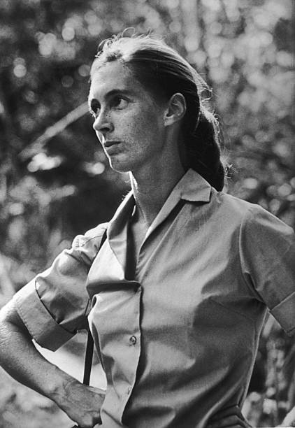 Gallery of Jane Goodall