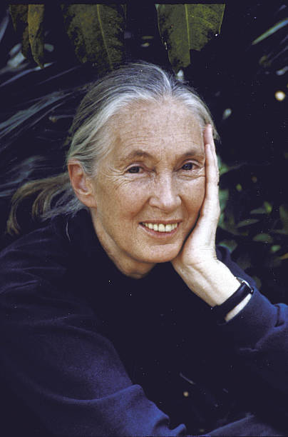 Gallery of Jane Goodall