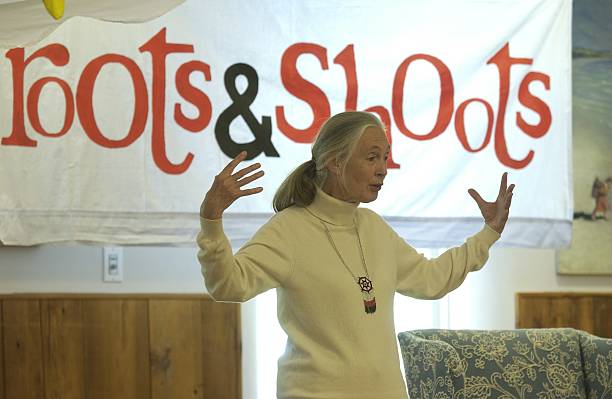 Gallery of Jane Goodall