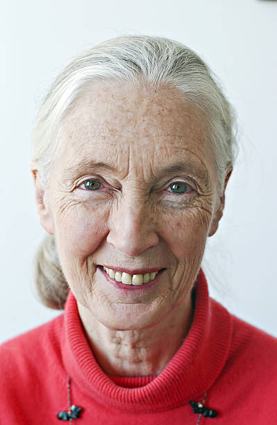 Gallery of Jane Goodall